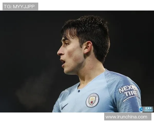 立宛陶凭借卓越表现崭露头角成为足球界的新星与偶像