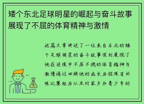矮个东北足球明星的崛起与奋斗故事展现了不屈的体育精神与激情